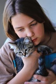 6 most frequently asked questions regarding your new kitten – Part II Image